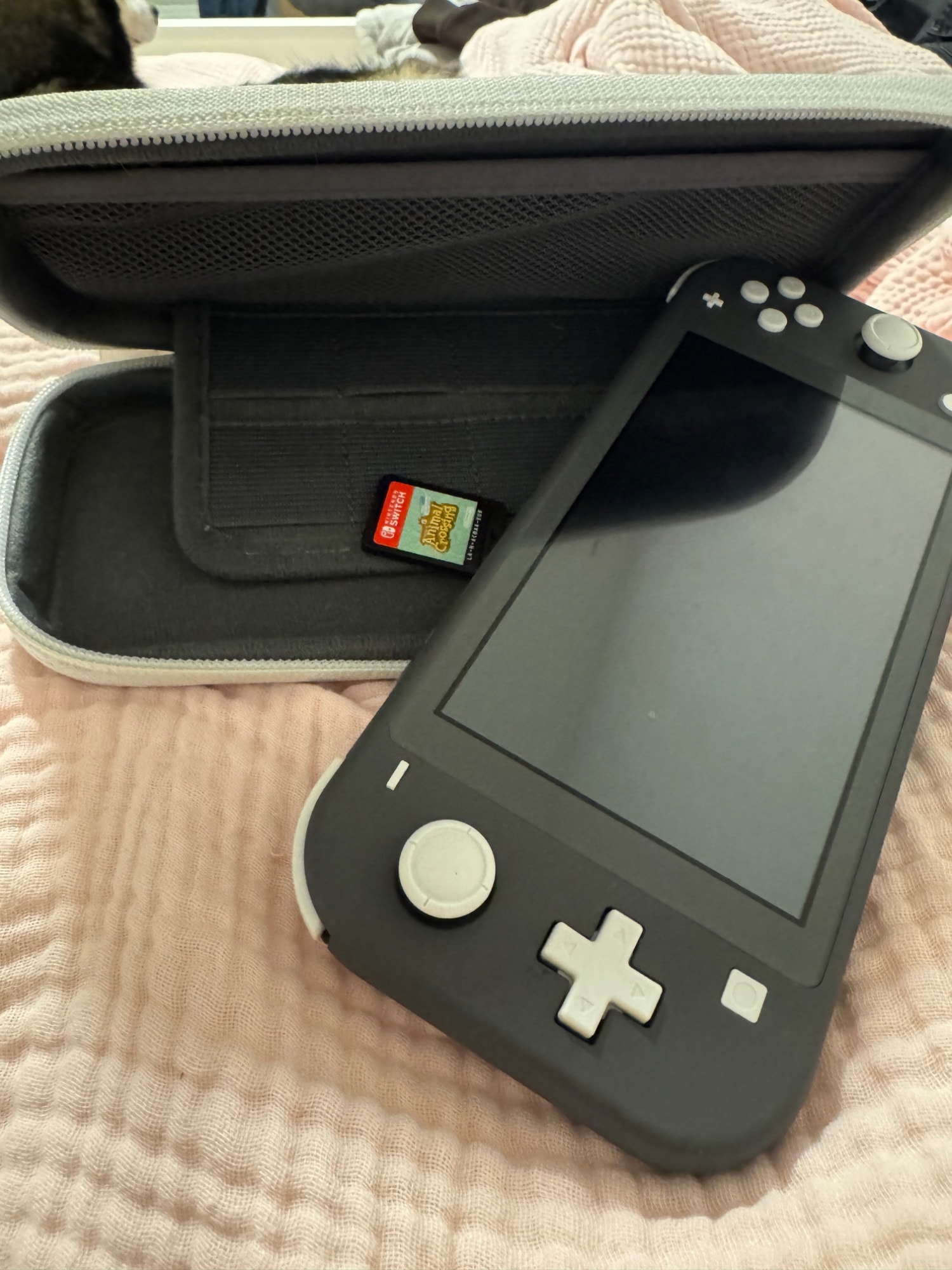 Nintendo Switch Lite - Gris - acheter sur Galaxus