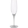 Schott Zwiesel Bicchiere da champagne GUSTO (22 cl, 6 x, Bicchieri da champagne)