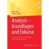 Analysis - Grundlagen und Exkurse (Allemand)