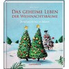 Advent Calendar Book - The Secret Life of Christmas Trees