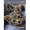 Eine Katze für jeden Tag 2019 Tagesabreißkalender (Deutsch)