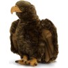 WWF Aquila d'oro (23 cm)