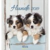 Hunde 2019 Postkartenkalender (Tedesco)