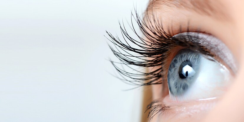 Wimpern zum Klimpern: 2 Wimpernseren im Test