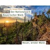 Der Nationalpark Bayerischer Wald (Deutsch)