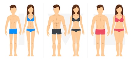  Ectomorph, mesomorph, endomorph (d.l.to.r.)