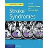 Stroke Syndromes (Inglese)