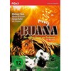 Buana - Die weißen Löwen von Timbavati (1981, DVD)