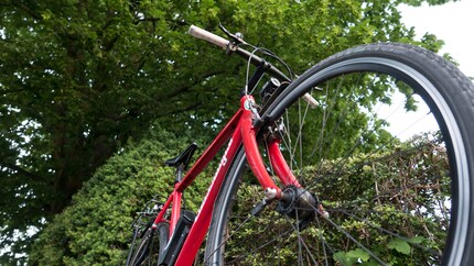 Ein Bild von einem Bike: Mein Velo, mein Schatzzzzzz.