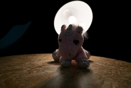L'unicorno con luce proveniente dal retro.