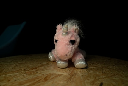  L'unicorno con la luce proveniente da dietro la fotocamera.
