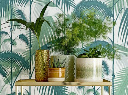 Image : Bloomingville