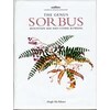 Genus Sorbus (Englisch)