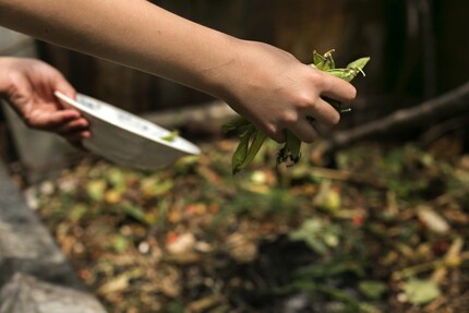Clean with your kitchen waste!