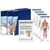 PROMETHEUS LernPaket Anatomie (Tedesco)