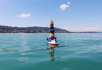 Body control on the board.