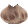 10.21 platinblond irise asch