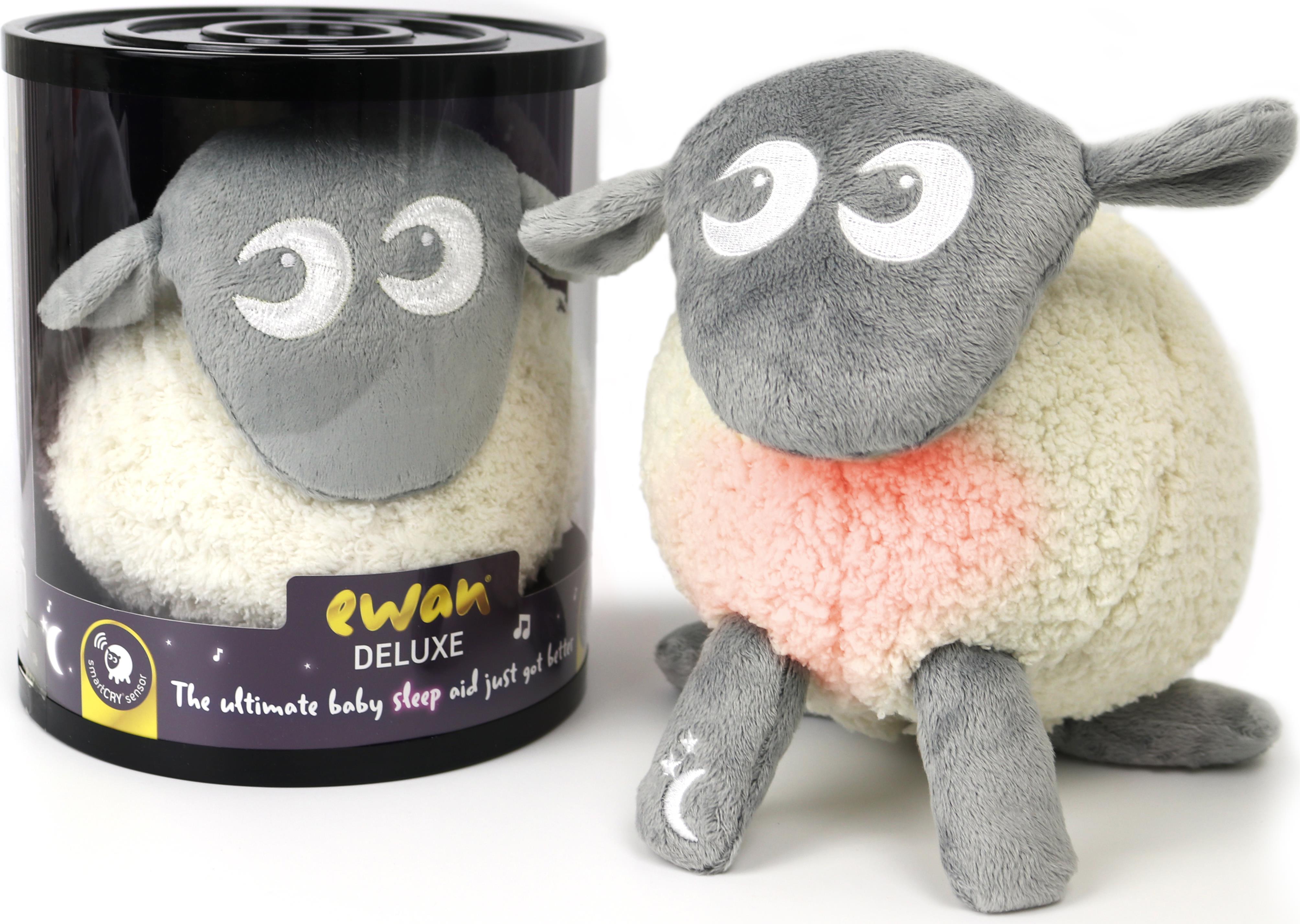 Ewan the dream sheep clearance