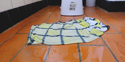 Ne jouez pas avec la fonction bidet. Ne le faites pas.