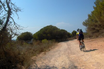Trova l’errore: Single Speed su una pista di ghiaia.
