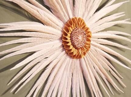 Plume De Panache