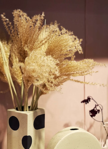 Herbes de la pampa