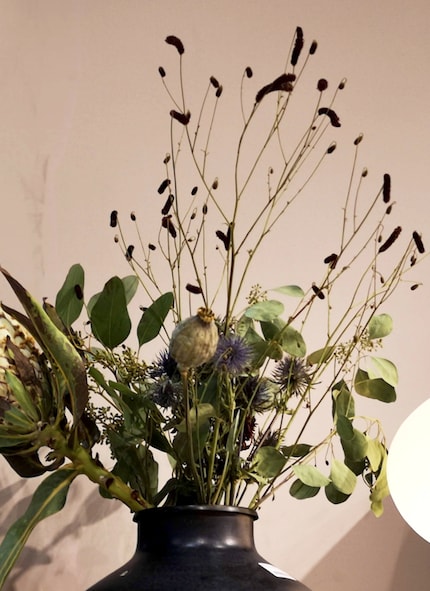 Eucalyptus, protéa, chardon (alpine- Mannstreu), capsule de pavot