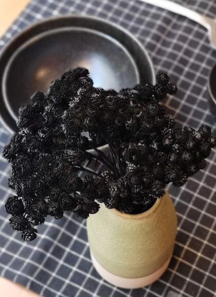 Fleurs de houblon spéciales ou colorées
