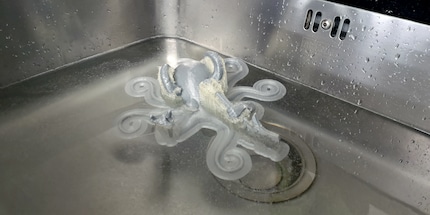 Le Rocktopus dans son élément.