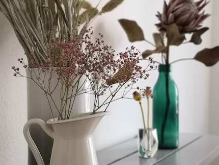 Elles se ressemblent depuis des semaines dans mon salon : Gypsophile, Millet décoratif et Protea