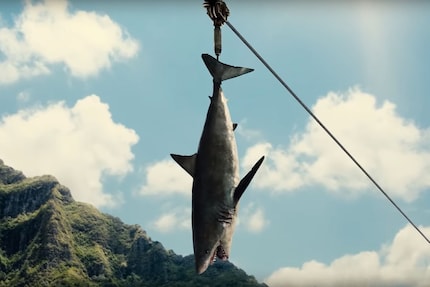 2. Cibo per il pesce dino