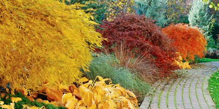 Quelle: gartenjournal.net
