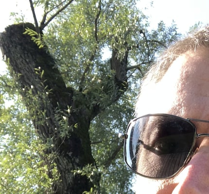 iPhone X (détail)