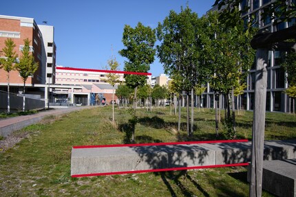 Kamera ist gerade, aber Linien aufgrund der Perspektive schräg