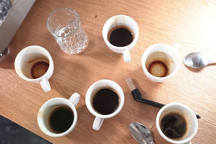 Kaffeevergiftung: So sah es nach dem Test aus