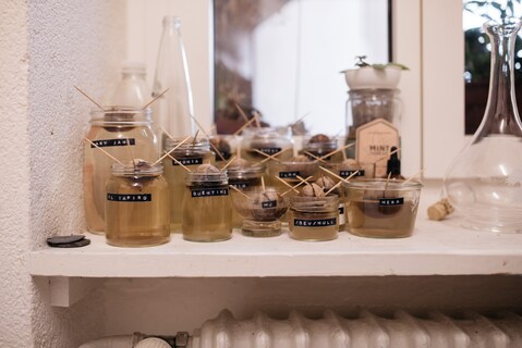 The window sill is home to a family of avocado stones. These weren’t bought – rather rescued from a supermarket and saved from ending up in the bin. For a laugh, Carla gave them all names and wants to grow them into decorative plants