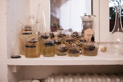The window sill is home to a family of avocado stones. These weren’t bought – rather rescued from a supermarket and saved from ending up in the bin. For a laugh, Carla gave them all names and wants to grow them into decorative plants