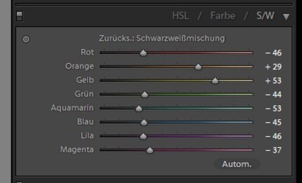Durch Betonung von Gelb und Orange wird die Blume herausgehoben.