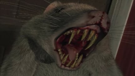 Ecco un ratto che muta.