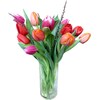 Rutishauser Blumen Mélange de tulipes (Fleurs coupées)