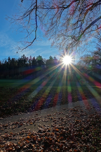 With closed aperture and the sun half covered, the star effect becomes visible.