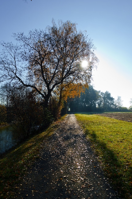 Aperture open: Although the sun shines through the branches, no star effect appears.