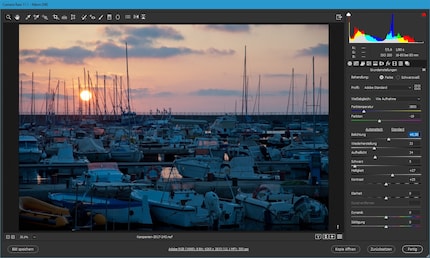 Il modulo Camera Raw di Photoshop può essere aperto direttamente da Bridge senza Photoshop.