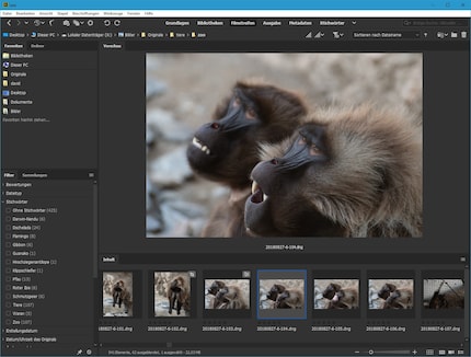 Visualizza i file RAW e DNG: La vista «filmstrips» è adatta per visualizzare un'intera cartella.