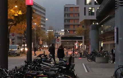 Crop from the image above