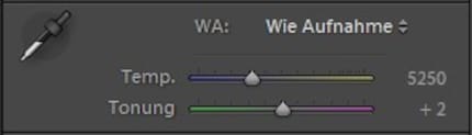 The sliders in a RAW file
