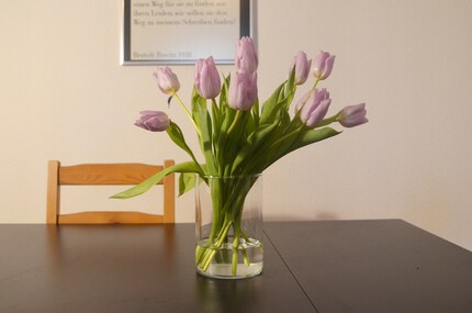 So sehen die Blumen vor der Zuckerbehandlung aus.
