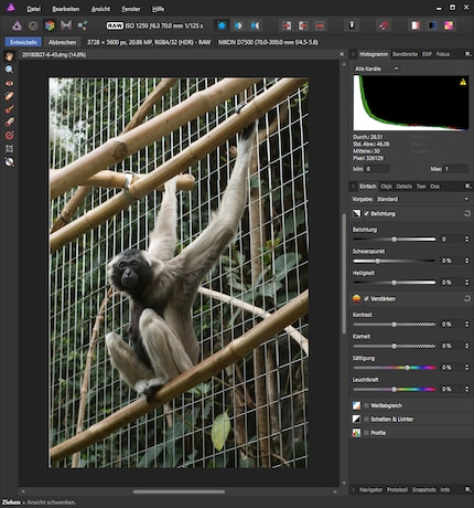 Entwicklungs-Modus in Affinity Photo