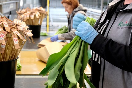 Ogni mazzo di fiori viene insignito del label «Swiss Garantie».