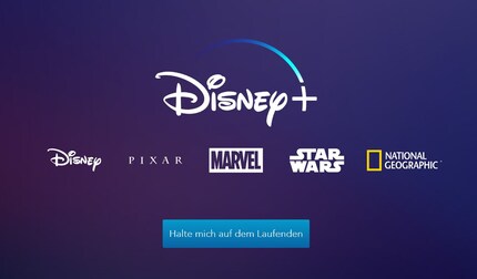 Il sito web del servizio streaming Disney a marzo 2019